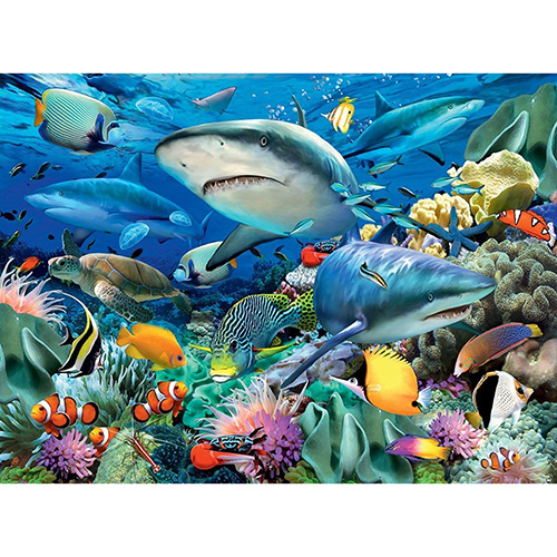 Rompecabezas: Arrecife de Tiburones - Image 2
